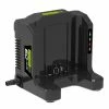 Greenworks GWG60C 60V Battery Charger -Saw Blades Store BAF5E1D2 0B34 4B82 9FC3 39AA0DC68E79 huge